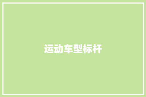 运动车型标杆