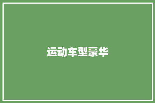 运动车型豪华