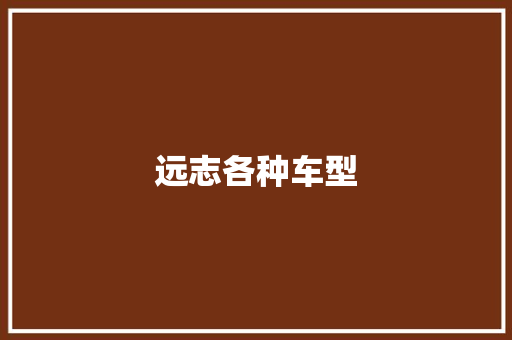 远志各种车型