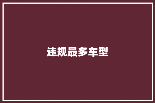 违规最多车型