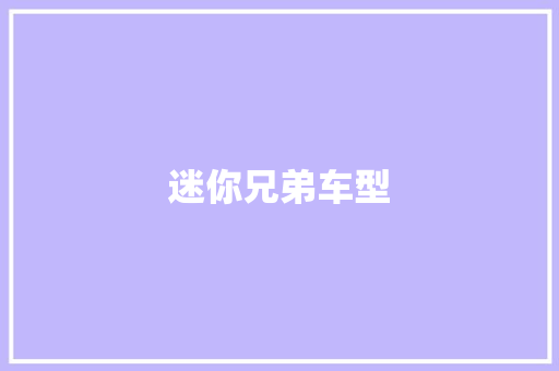迷你兄弟车型