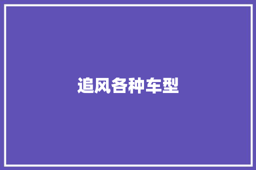 追风各种车型