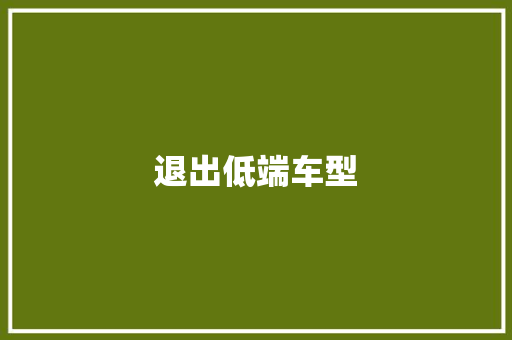 退出低端车型