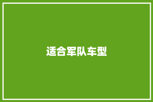适合军队车型