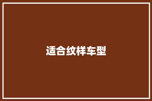 适合纹样车型