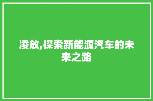 凌放,探索新能源汽车的未来之路