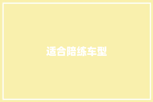 适合陪练车型