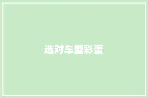 选对车型彩蛋