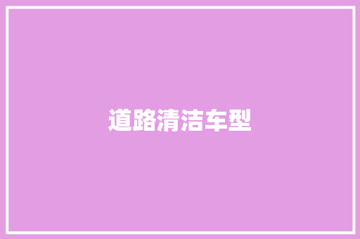 道路清洁车型
