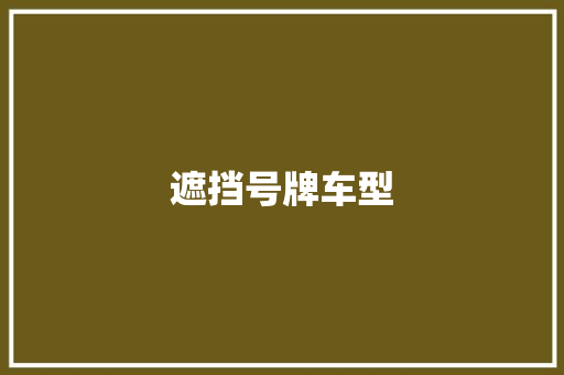 遮挡号牌车型
