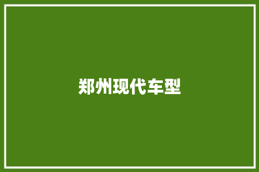 郑州现代车型