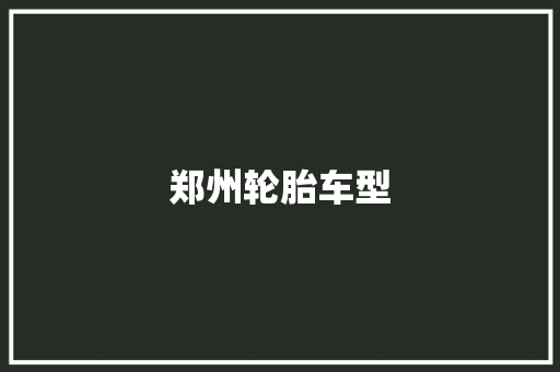 郑州轮胎车型