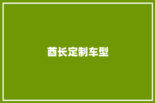 酋长定制车型