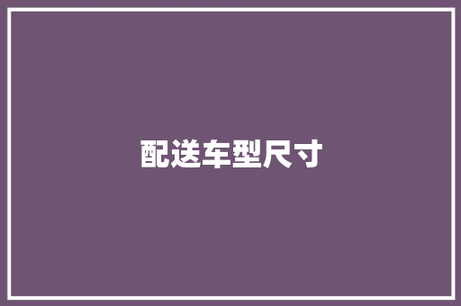 配送车型尺寸