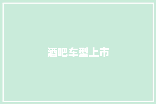 酒吧车型上市
