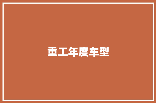 重工年度车型