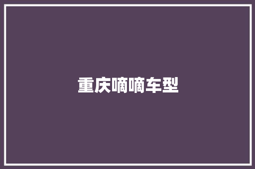 重庆嘀嘀车型