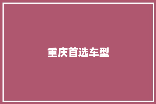 重庆首选车型