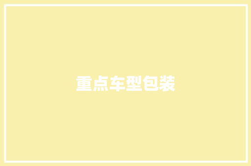 重点车型包装