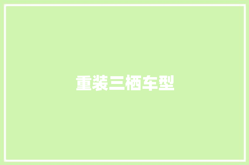 重装三栖车型