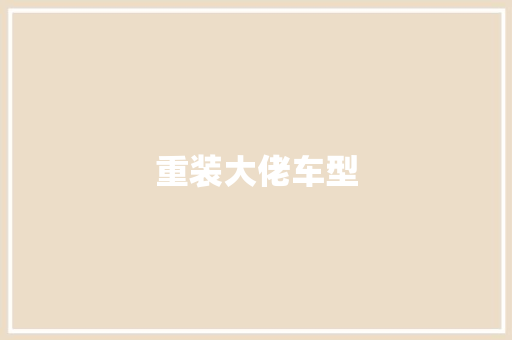 重装大佬车型