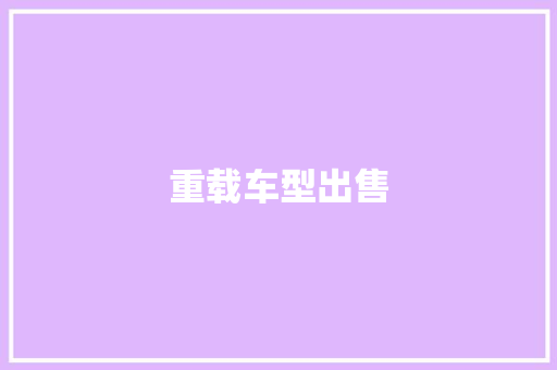 重载车型出售