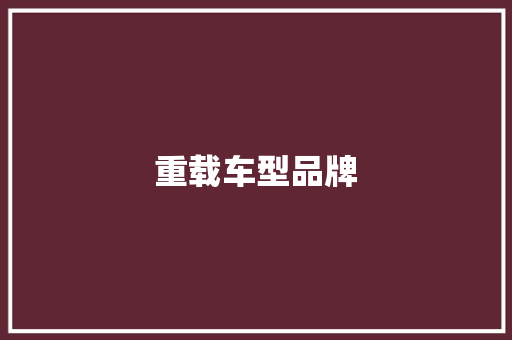 重载车型品牌