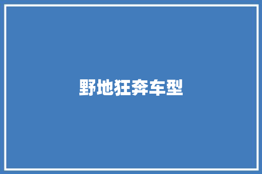 野地狂奔车型