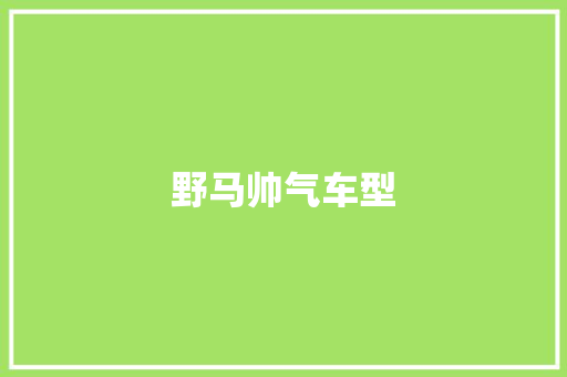 野马帅气车型 发动机配件