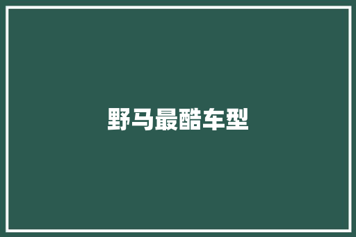 野马最酷车型
