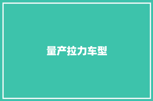 量产拉力车型