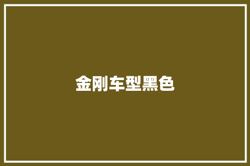 金刚车型黑色