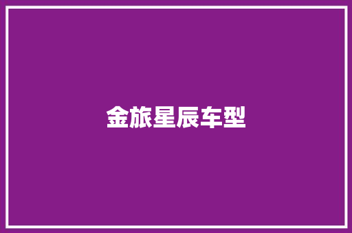 金旅星辰车型