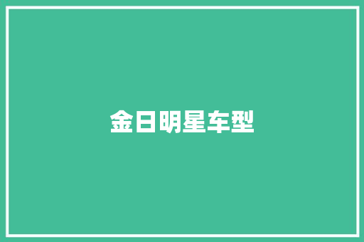 金日明星车型