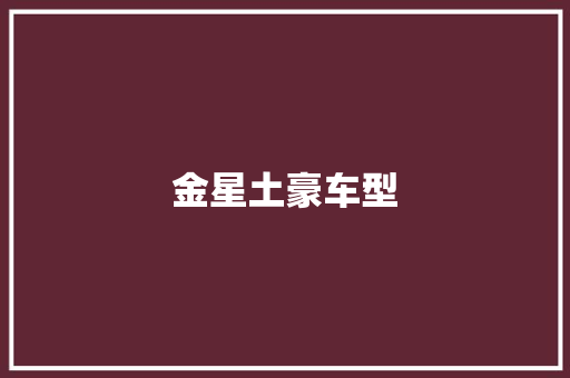 金星土豪车型