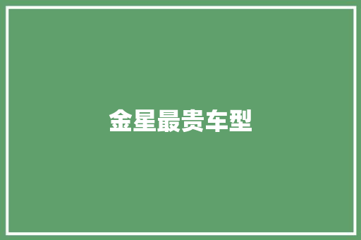 金星最贵车型