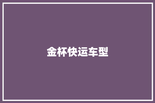 金杯快运车型