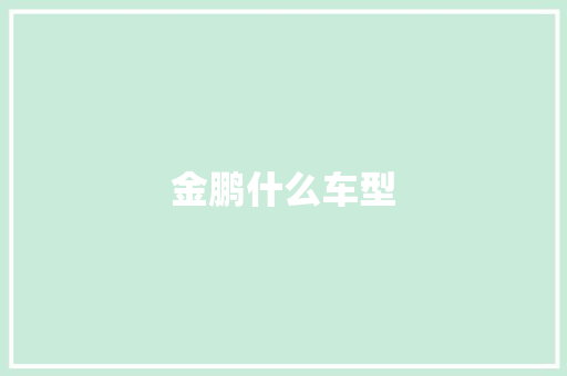 金鹏什么车型
