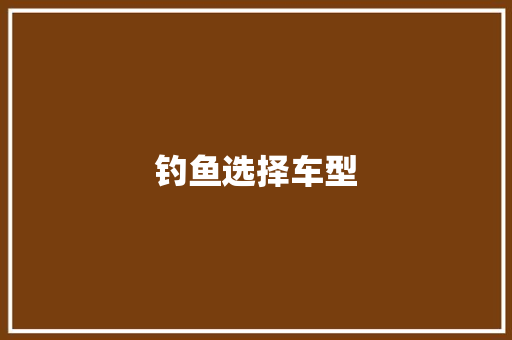 钓鱼选择车型