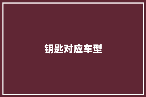 钥匙对应车型