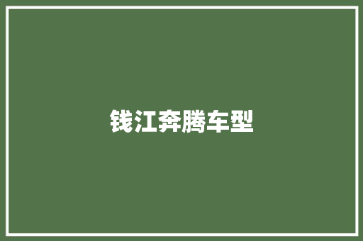 钱江奔腾车型