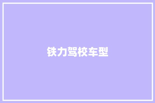 铁力驾校车型
