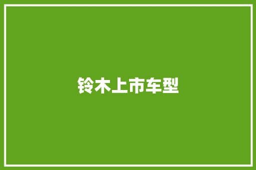 铃木上市车型