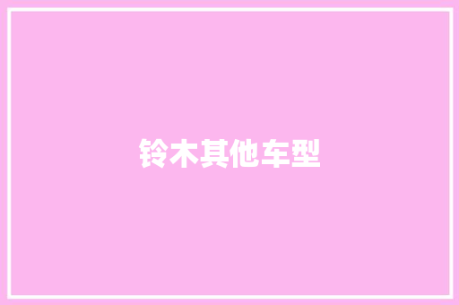 铃木其他车型