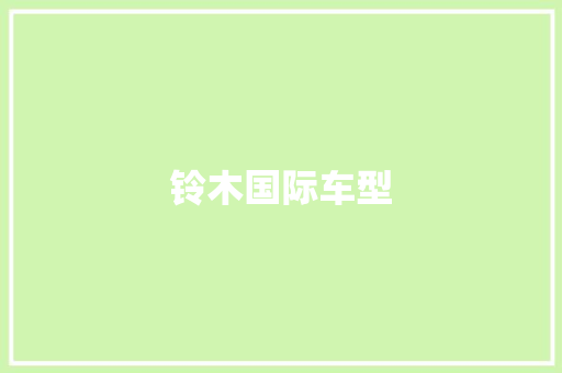 铃木国际车型