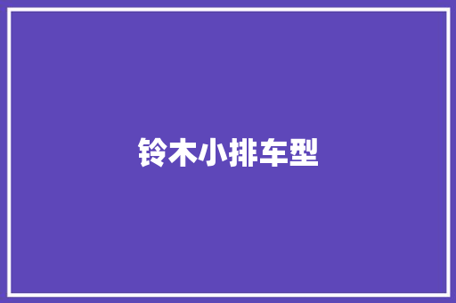 铃木小排车型