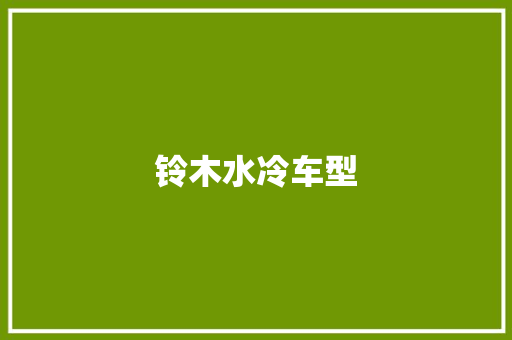 铃木水冷车型