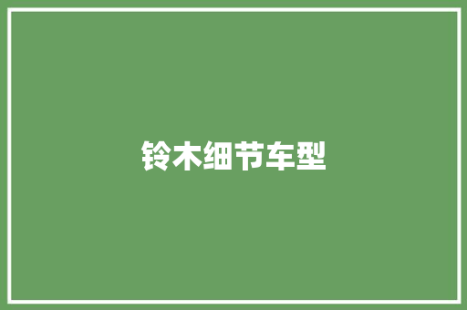 铃木细节车型