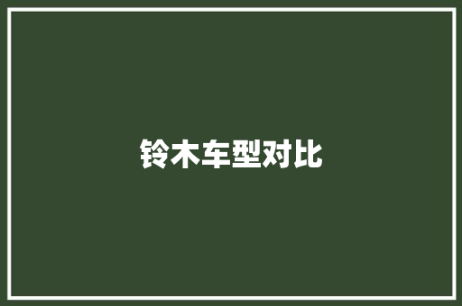 铃木车型对比