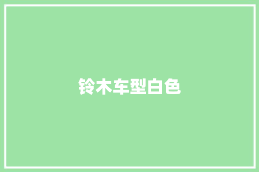 铃木车型白色
